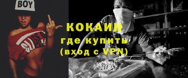 мет Протвино