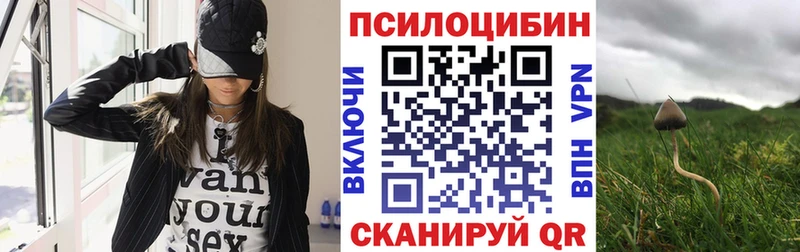 Псилоцибиновые грибы прущие грибы  Купить закладки  Купино 
